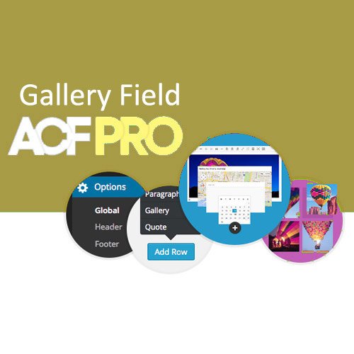 Download Advanced Custom Fields Gallery Field Addon Nulled Plugin Free ...